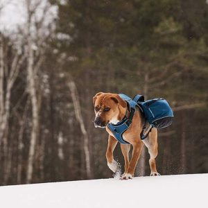 Canadian Canine  4 Traverse Backpack