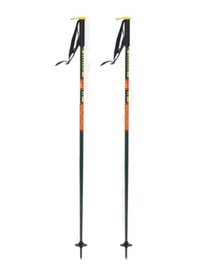 2026 Wallischstick Alpine Poles
