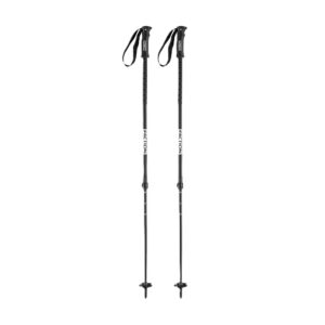2026 Agent Adjustable Alpine Poles