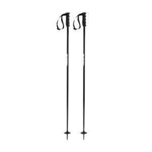 2026 Lite Alpine Poles